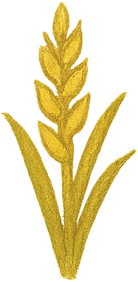 Crops